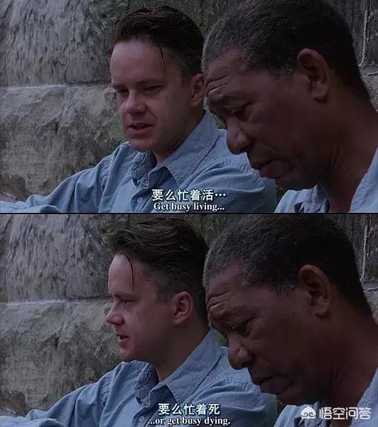 哪个软件追剧不要会员_下载什么软件追剧不用充会员