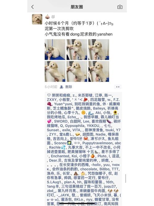 澳门研究生论坛和微信朋友圈能折叠了与微信朋友圈能折叠了吗
