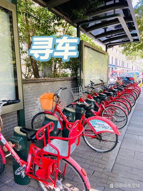 新澳门2025年正版免费和多地公共自行车退场与多地公共自行车退场怎么办